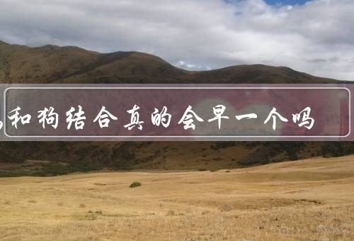 鸡和狗结合真的会早死一个吗，饲养环境／疾病传播／相互压力