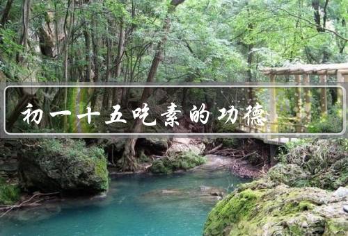 初一十五吃素的功德，由来、功德、意义