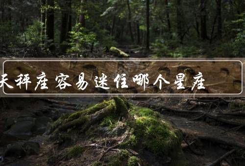 天秤座容易迷住哪个星座（机智聪明／幽默风趣／多才多艺）