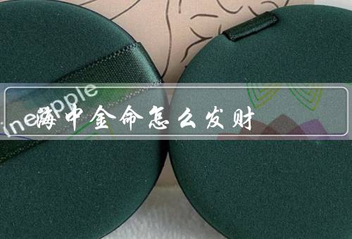 海中金命怎么发财，旅游／海洋资源开发／科技创新