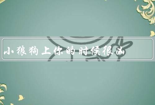 小狼狗上你的时候很凶，天性决定了它的凶狠、对陌生人的警惕心理