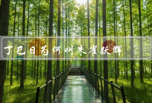 丁巳日为何叫朱雀跃辉，传说／丁巳日习俗／象征意义