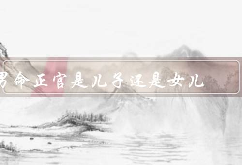 男命正官是儿子还是女儿，原因／女儿的可能性／还是女儿的重要性