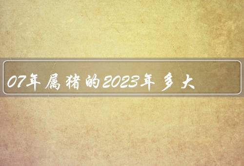 07年属猪的2023年多大，个人发展／事业发展／爱情婚姻