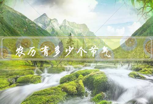 农历有多少个节气（立春／雨水／惊蛰）