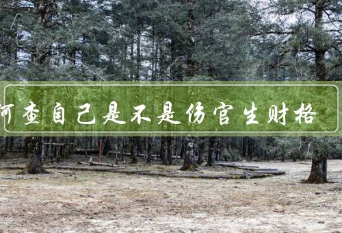 如何查自己是不是伤官生财格，五行缺水、善于表达、思维敏捷