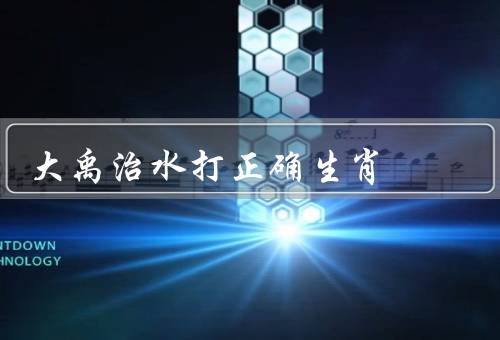 大禹治水打正确生肖（鼠、龙、猪）