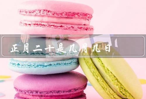 正月二十是几月几日（起源、食物、文化意义）