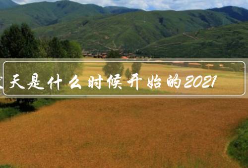 伏天是什么时候开始的2021（起源／气候特点／人们应对方法）