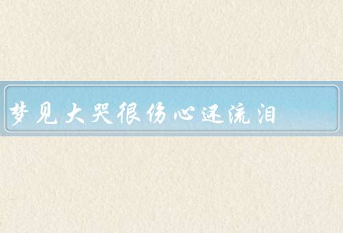 梦见大哭很伤心还流泪，梦中的伤心／梦境的象征／面对梦境的启示