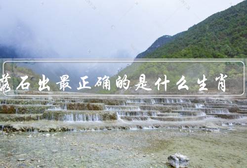 水落石出最正确的是什么生肖（属鼠／属龙／属狗）
