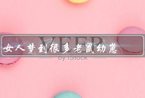 女人梦到很多老鼠幼崽（梦境的象征意义、内心的压力和焦虑）