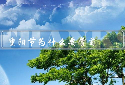 重阳节为什么要赏菊，历史文化／花卉特点／象征意义