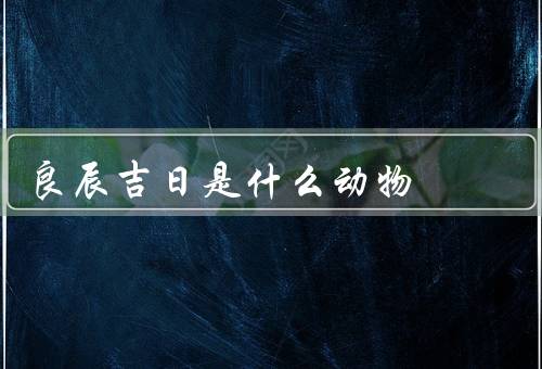 良辰吉日是什么动物，生肖动物与／选择原则／意义