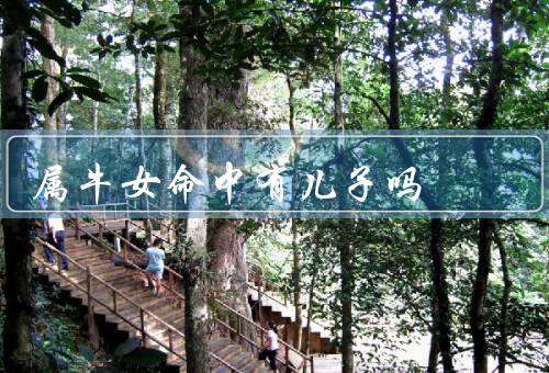 属牛女命中有儿子吗，传统观念、现代观念、科学角度