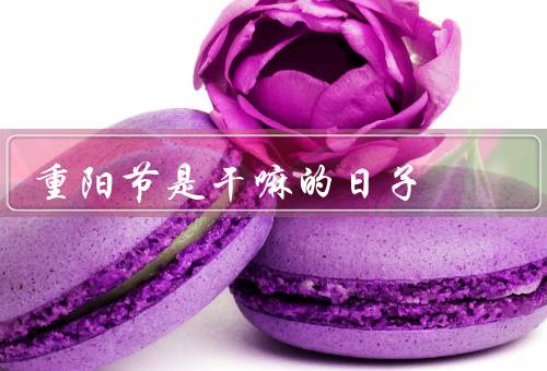 重阳节是干嘛的日子（由来／习俗／意义）