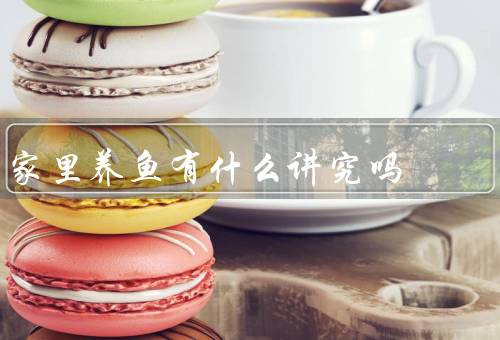 家里养鱼有什么讲究吗，鱼缸的摆放／水质的调节／饲养的注意事项