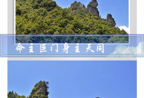命主巨门身主天同，关系