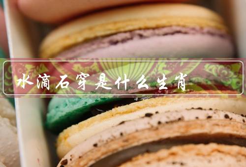 水滴石穿是什么生肖，特征／行为方式／发展方向