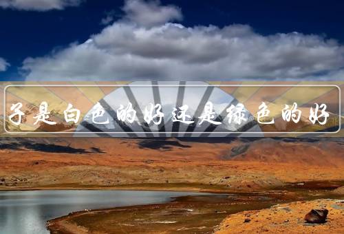 玉镯子是白色的好还是绿色的好，白色的玉镯子／绿色的玉镯子