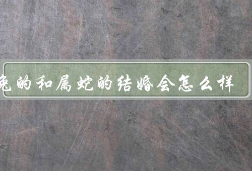 属兔的和属蛇的结婚会怎么样（性格特点／相互支持／克服挑战）