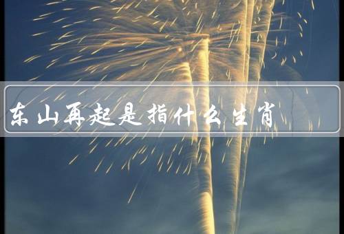 东山再起是指什么生肖（属鸡人特点／意义／案例）