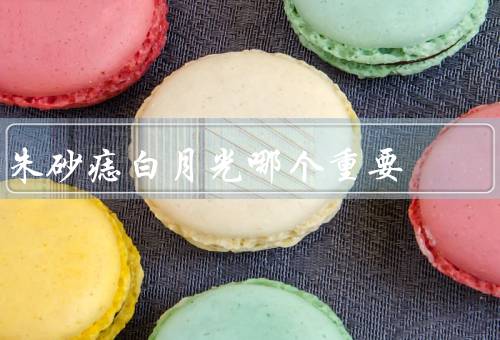 朱砂痣白月光哪个重要（朱砂痣／白月光／重要性的比较）