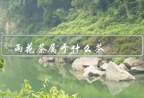 雨花茶属于什么茶，起源、特点、品鉴方法