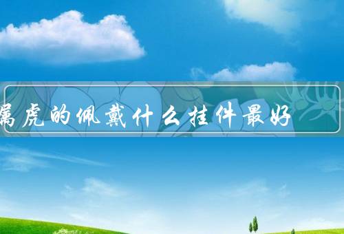 属虎的佩戴什么挂件最好，红玛瑙／虎眼石／金融猫挂件
