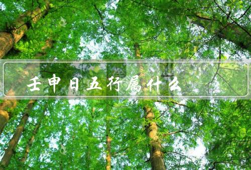 壬申日五行属什么（性格特点／事业与发展／健康与生活）