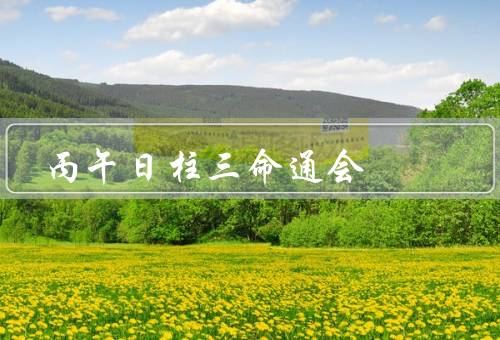 丙午日柱三命通会，特点、事业与财运、婚姻与家庭