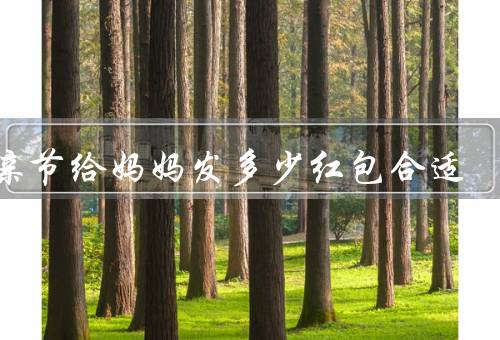母亲节给妈妈发多少红包合适（妈妈的付出、家庭经济状况、个人情况）