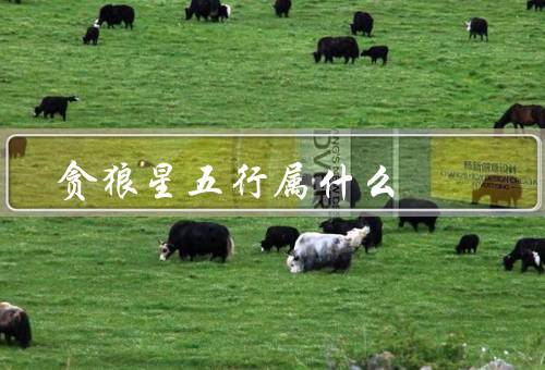 贪狼星五行属什么，特点／象征意义／影响