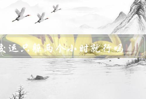 交运只躲两个小时就行吗（交通堵塞原因／高峰期的特点）