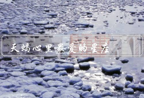 天蝎心里最爱的星座，温柔体贴／心灵默契／浪漫浪漫