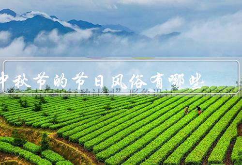 中秋节的节日风俗有哪些，赏月／吃月饼／赏桂花