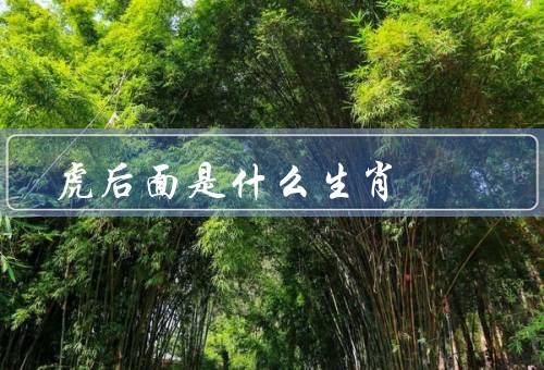 虎后面是什么生肖，特点／关系／象征意义