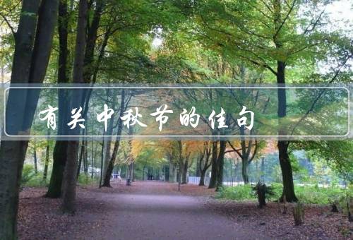 有关中秋节的佳句，赏月／中秋月饼／花灯