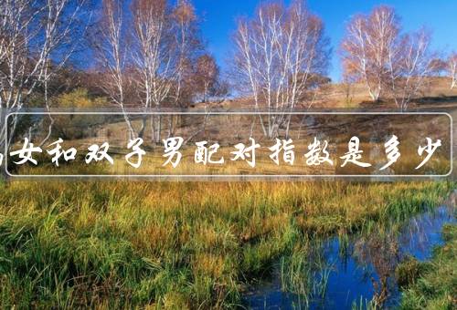 摩羯女和双子男配对指数是多少，性格差异／沟通障碍／相互补充