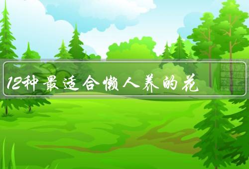 12种最适合懒人养的花，仙人掌、多肉植物、铁线莲