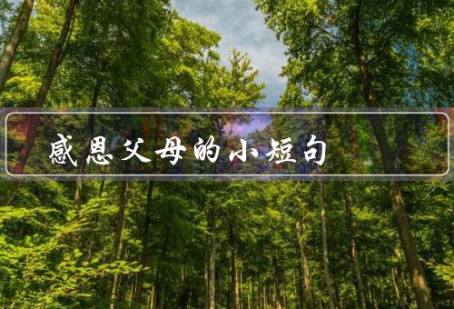 感恩父母的小短句（辛勤付出／无私爱护／感恩方式）