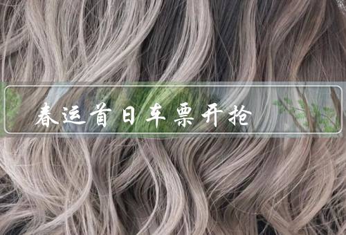 春运首日车票开抢（火爆场面／购票技巧／抢票心得）