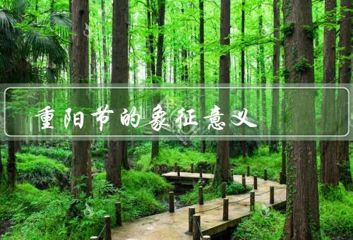 重阳节的象征意义（寓意／象征物品／活动）