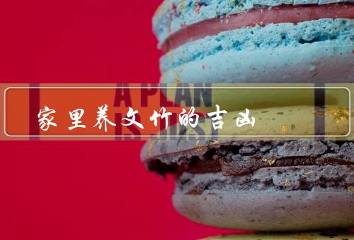 家里养文竹的吉凶，吉凶象征／养禁忌／养护技巧