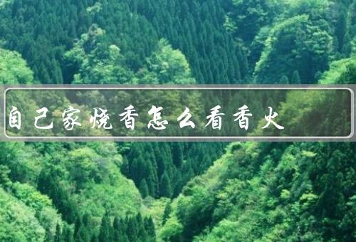 自己家烧香怎么看香火，烟雾缭绕／虔诚祈愿／心灵寄托