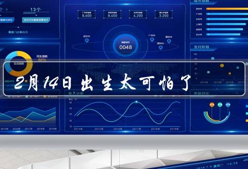 2月14日出生太可怕了，单身的痛苦／自我调侃／积极应对