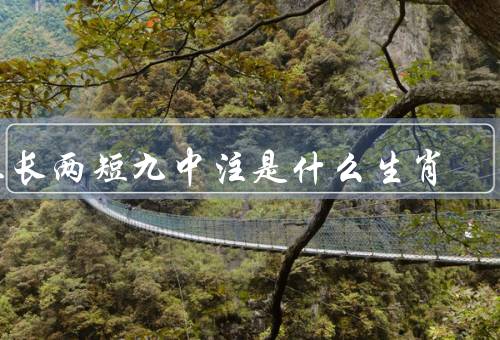 三长两短九中注是什么生肖，含义／性格特征／命运走向