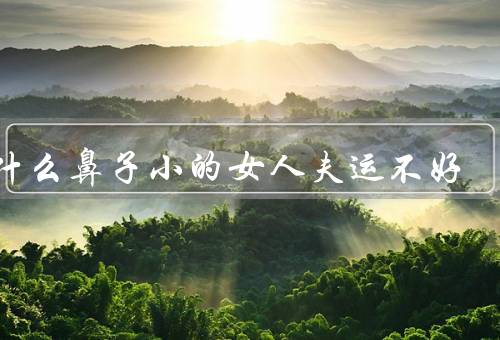 为什么鼻子小的女人夫运不好（难以传递财运、影响婚姻幸福）