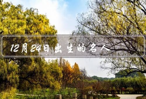 12月24日出生的名人（刘德华、雷军、凯文·科斯特纳）