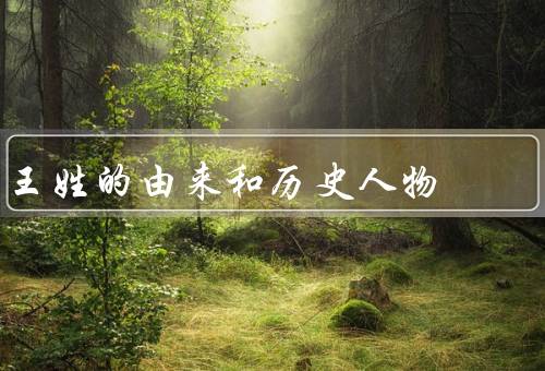 王姓的由来和历史人物（由来／历史人物／文化内涵）